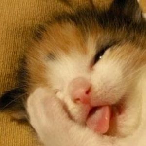 Meet your Posher, Isabella